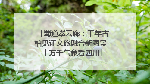 蜀道翠云廊：千年古柏见证文旅融合新图景丨万千气象看四川